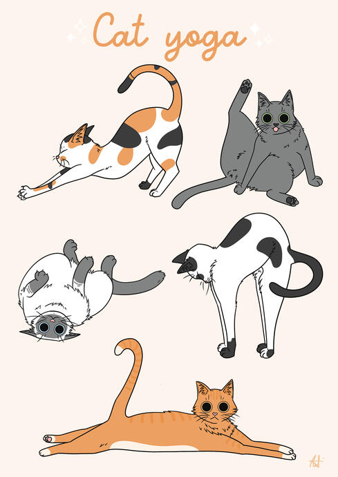Cat Yoga - 2020